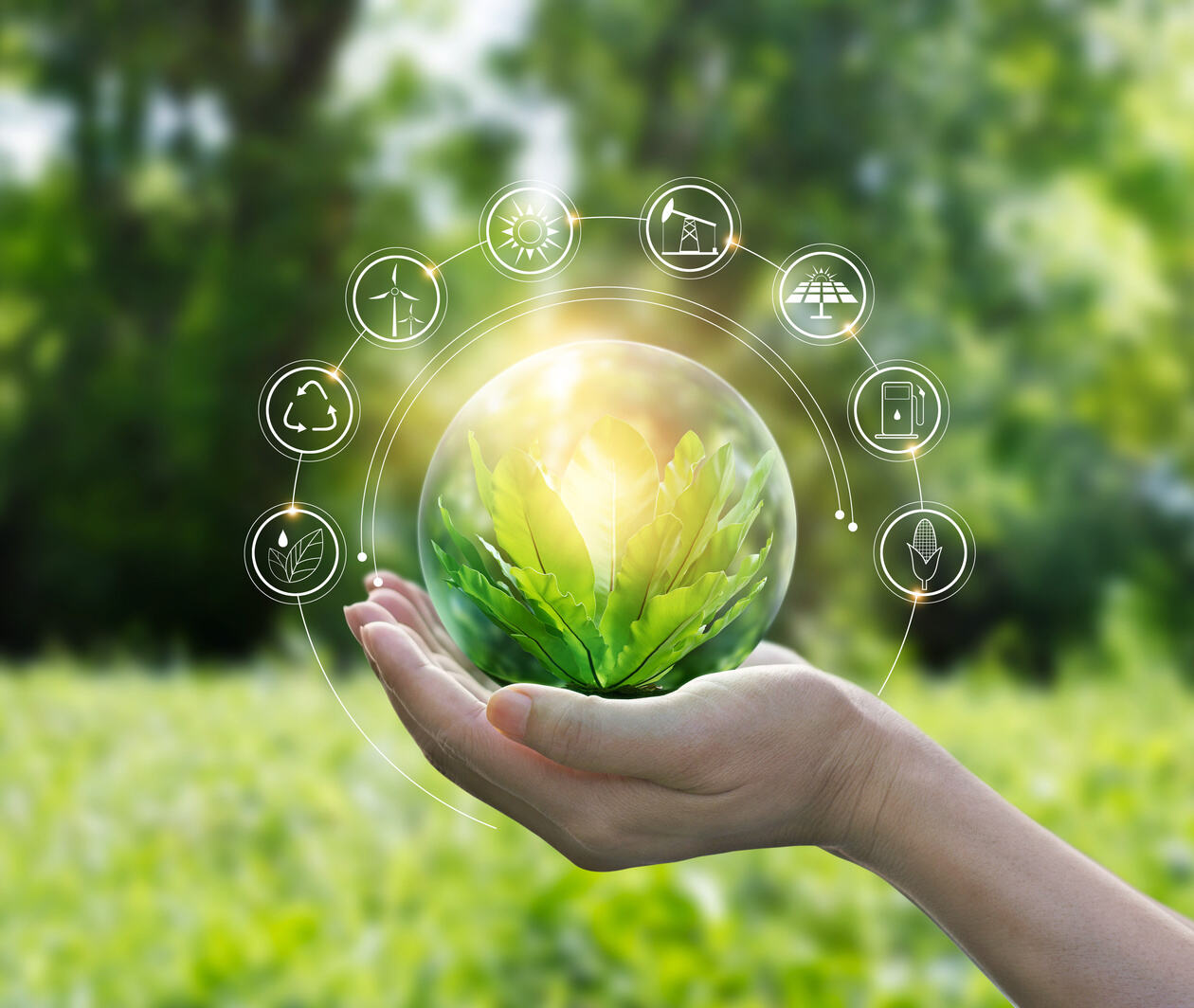 Sustainable Cooling Solutions a Path to a Cooler Planet